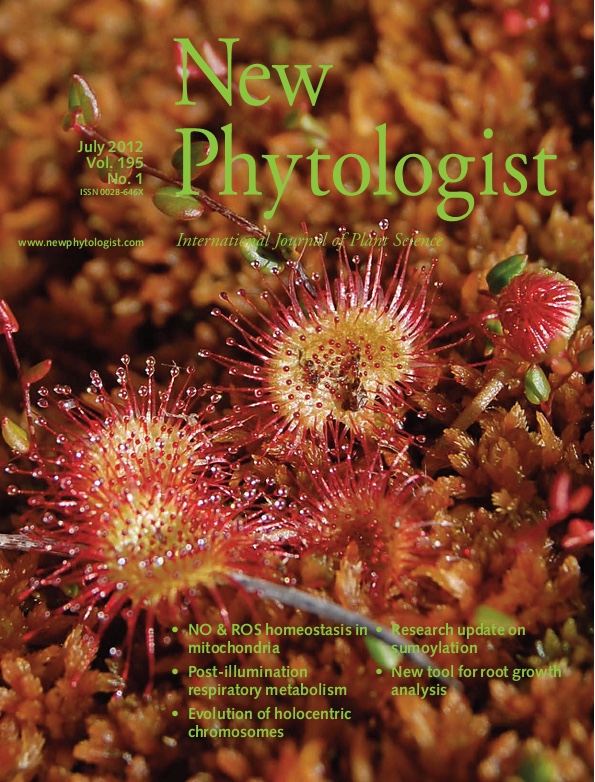 Cover image for New Phytologist Volume 195 Issue 1