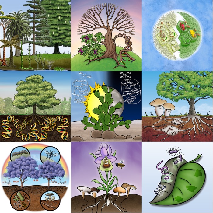 Image: A selection of New Phyologist Symposia logos