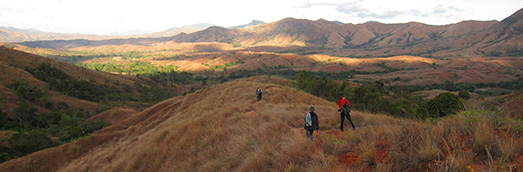 View of a grassy landscape in Madagascar, mountains in the background