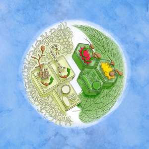 36th New Phytologist Symposium