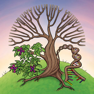37th New Phytologist Symposium logo