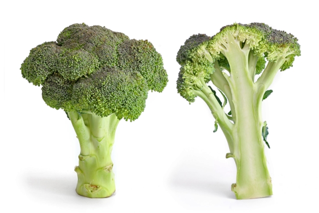Image of Broccoli
