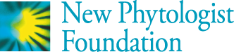 New Phytologist Foundation logo