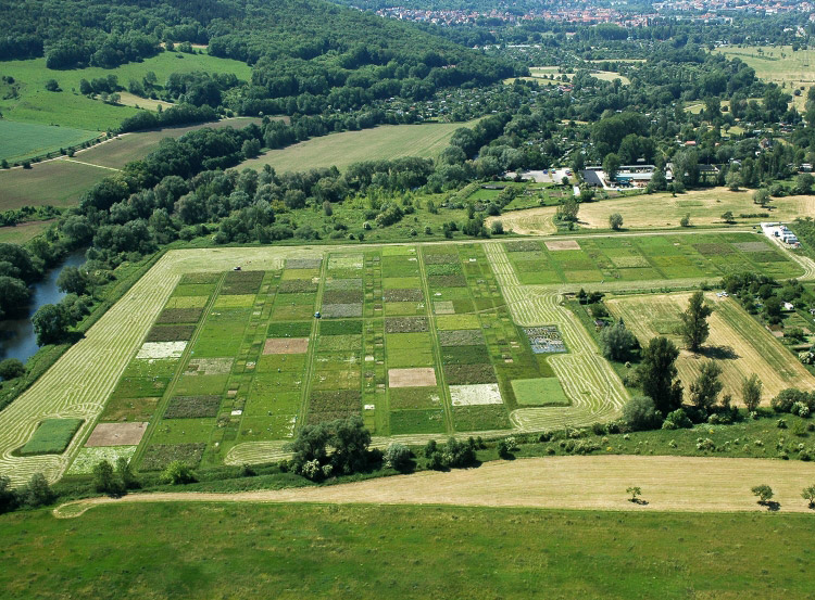 An aerial photograph showing the Jena Biodiversity Experiment in Germany