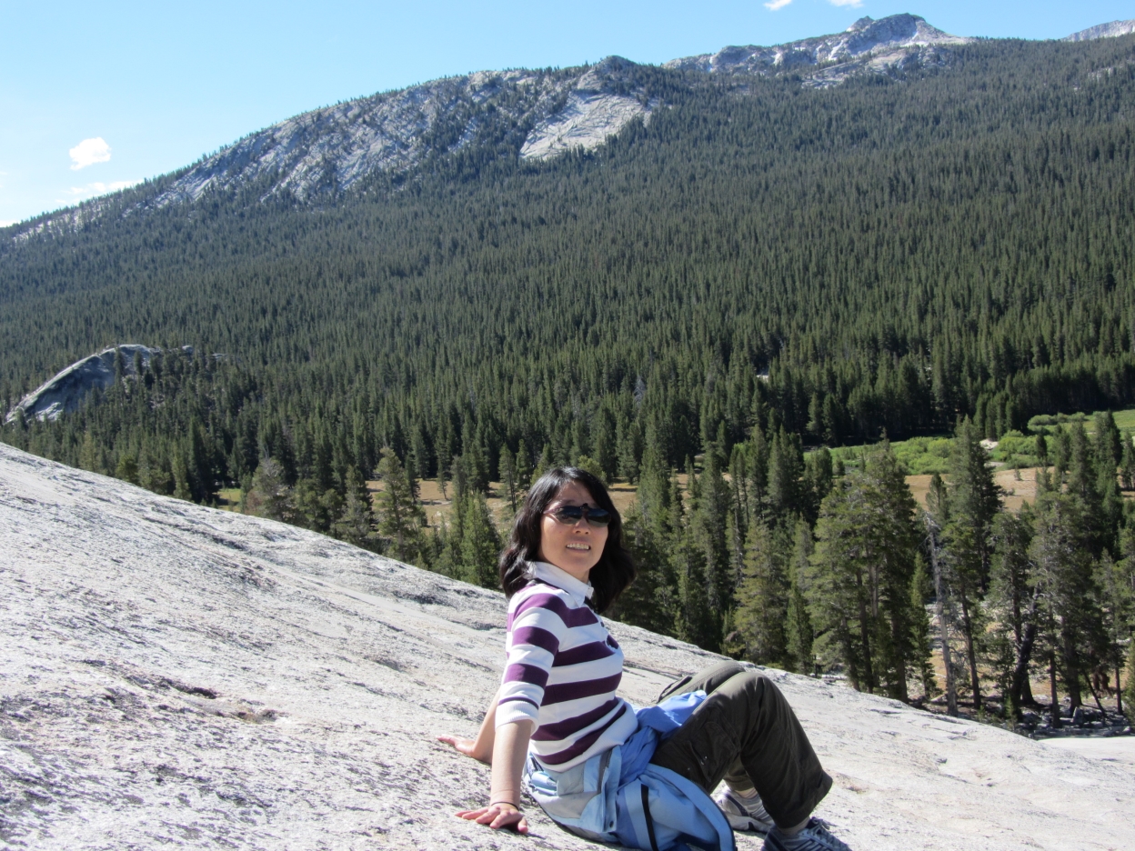 Photo of Dr. Li-Qing Chen