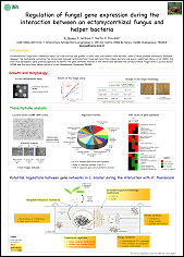 Runner up poster by Aurélie Deveau. Click to download a PDF version.