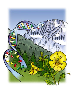 Ecological and Evolutionary Genomics of Plant Adaptation