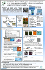 Runner up poster by Aurélie Huser. Click to download a PDF version.