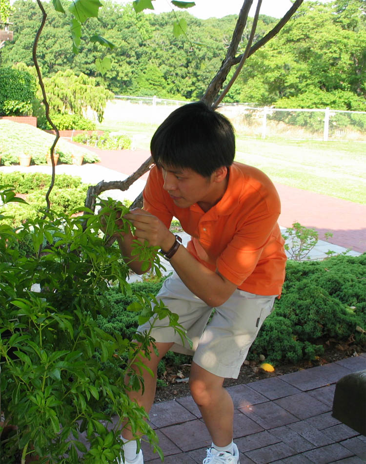 Photo of Jing-Ke checking out a plant in the United States Botanic Garden in Washington, DC