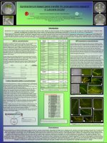 Winning poster by Minna Kemppainen. Click to download a PDF version.