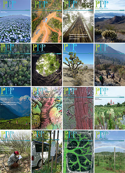 A collage of the 16 Plants, People, Planet cover images to date