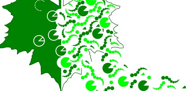 Image: Part of the logo of the 3rd International Conference on Plant Proteases