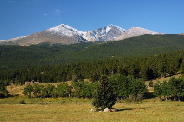 Subalpine forest below Longs Peak, in Rocky Mountain National Park, Colorado, USA.  Photo: P. Higuera