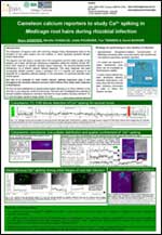 Joint winning poster by Björn Sieberer. Click for the PDF version.