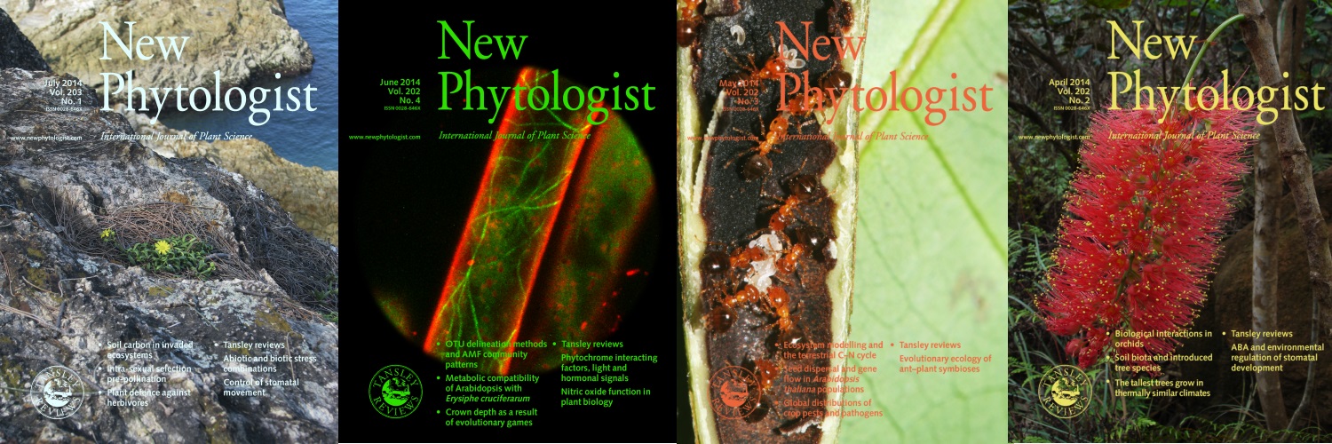Selected New Phytologist covers from 2014