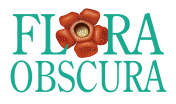 Flora Obscura Logo