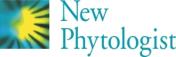 Turquoise Np Logo 300x98