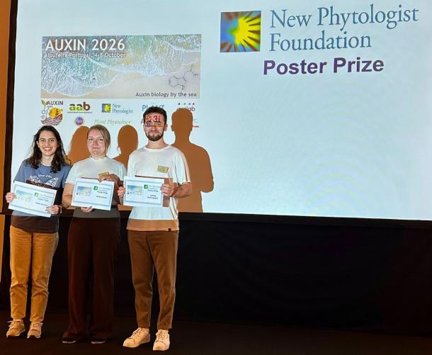 Photo of Anita Ament, Jędrzej Dobrogoski and Neta Gershon with their New Phytologist Foundation poster prize certificates on stage at the AUXIN 2026 conference.