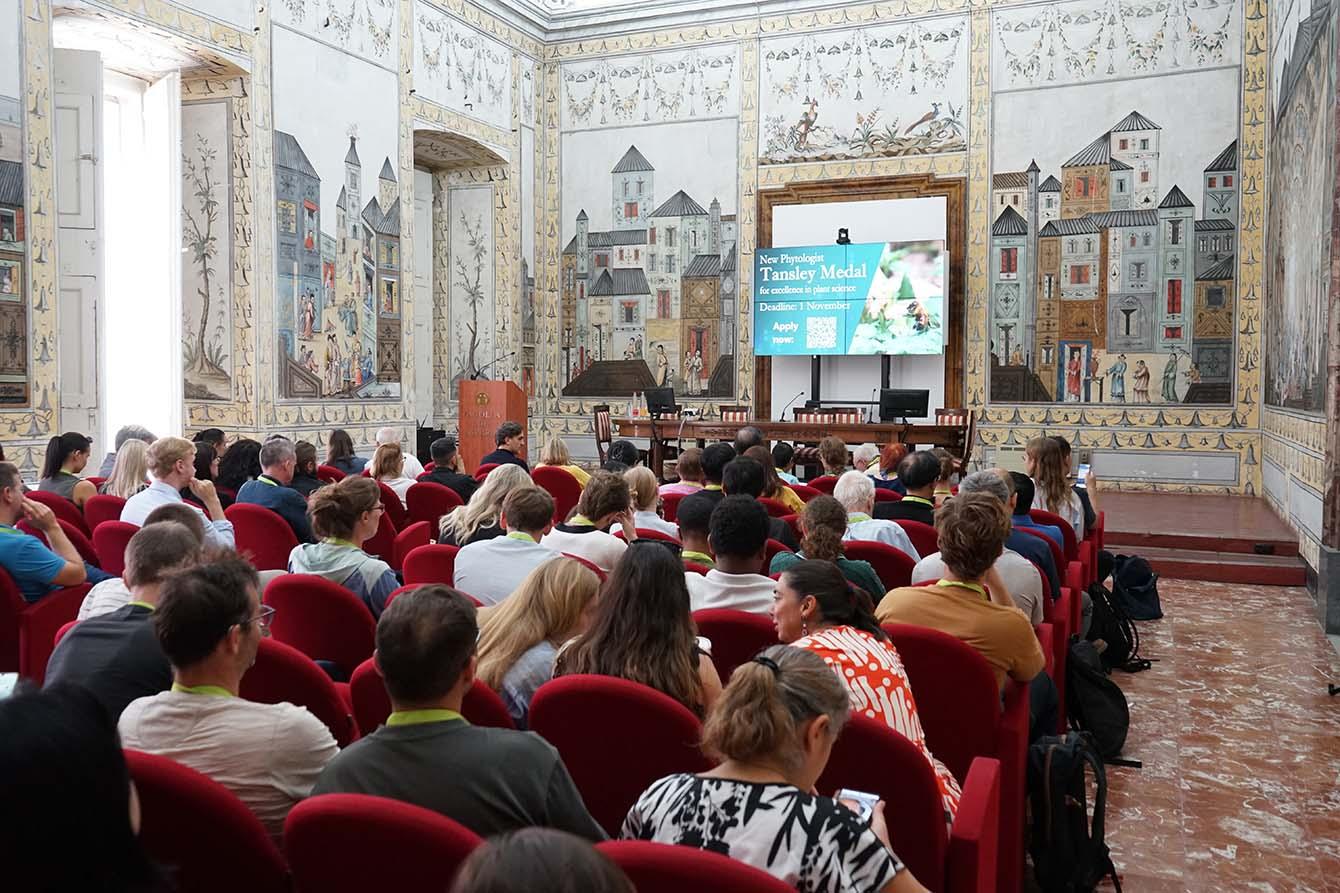 Delegates at the 2026 ICDRA meeting, in an ornate function room.