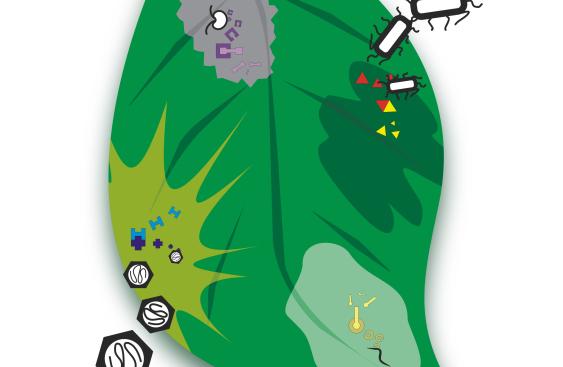 22st Nps Logo Pathogen Effectors Host Defenses On White
