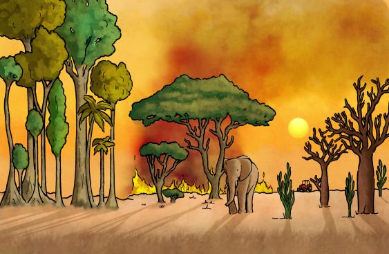 an elephant surounded by various african trees with some brush fire in the background, as well as a tractor.