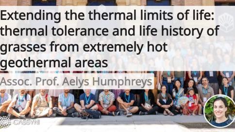 Aelys Humphreys