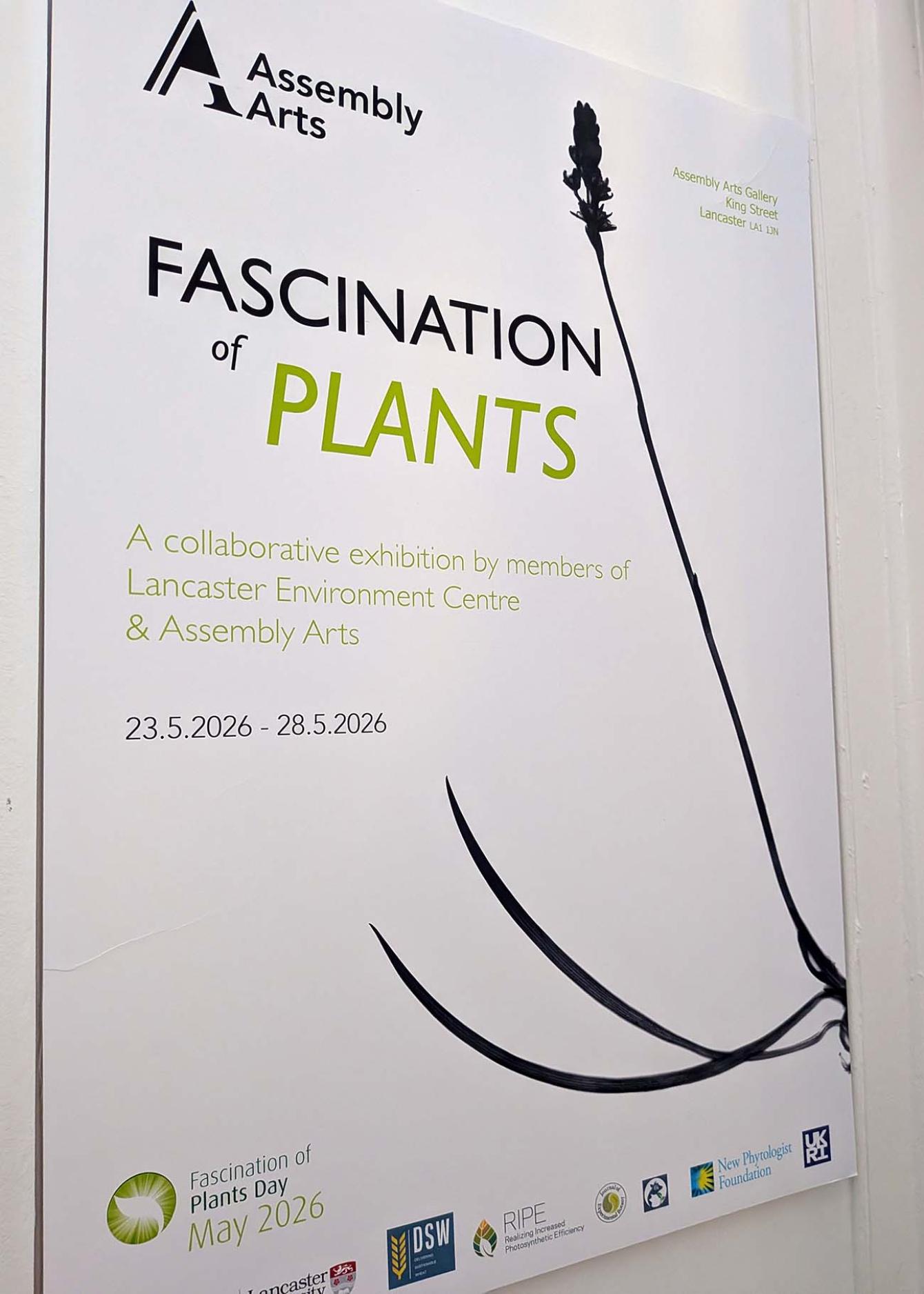 A poster for a fascination of plants day event at an art gallery.