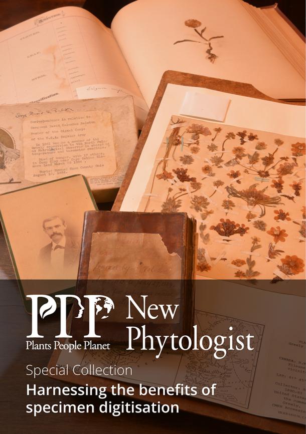 Cover of the New Phytologist and Plants, People, Planet Special Collection, Harnessing the benefits of specimen digitisation. Archives and specimens from the fateful Lady Franklin Bay Expedition (1881-1884) residing in the Carnegie Museum herbarium, Pittsburgh, USA.