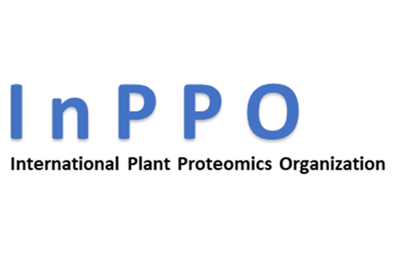 Inppo6