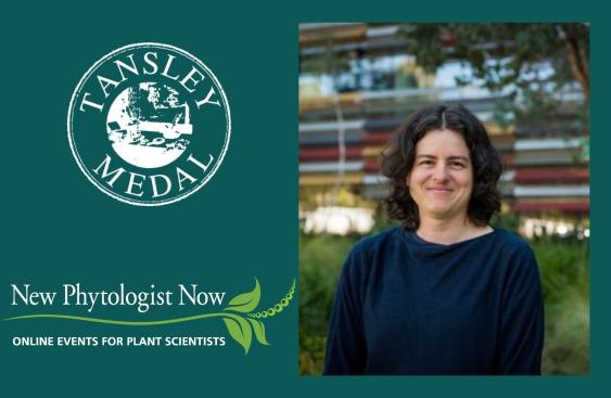 Tansley medal logo above the New Phytologist Now Logo with a photo of Jana on the right.