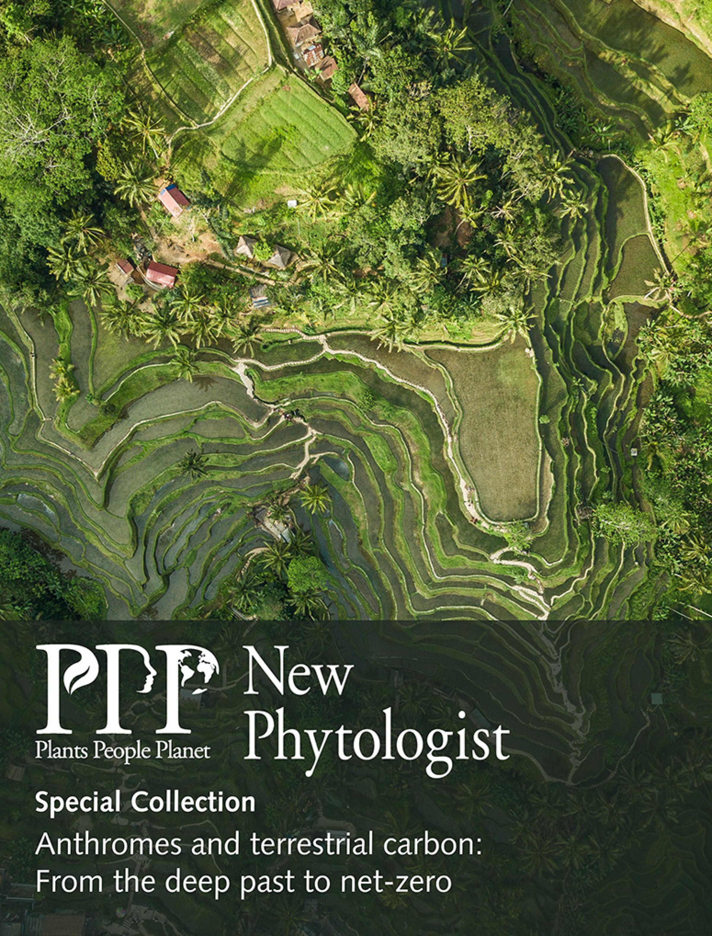 Cover image for the Special Collection on Anthromes and terrestrial carbon. The background image is an aerial view of a terraced farming landscape.