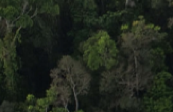 image:alt