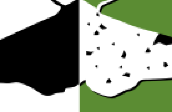image:alt