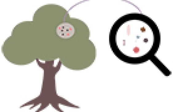 image:alt