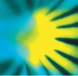 6163d7f6 51ac 4f65 9157 489f8d00a2e5 Sunburst For News