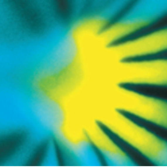 6163d7f6 51ac 4f65 9157 489f8d00a2e5 Sunburst For News