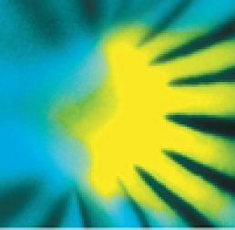 6163d8ae A500 455e 8473 489b8d00a2e5 Sunburst For News