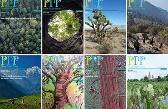 Ppp Covers