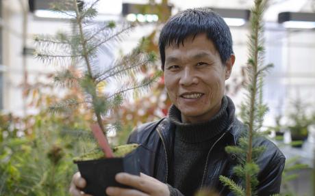 Jian-Feng Mao holding a small conifer in a pot.