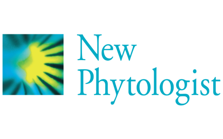 New Phytologist Journal logo. Text reads “New Phytologist”. To the left is a square containing a blue and yellow stylised daisy.