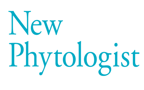 New Phytologist logo. Text reads “New Phytologist" in turquoise