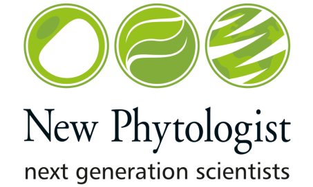 Ngs Small 1126 X 734