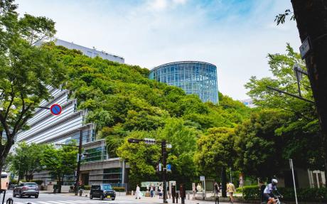 A view of a city street with a building surrounded by trees in the background.