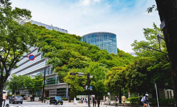 A view of a city street with a building surrounded by trees in the background.