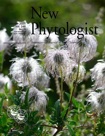 Cover of New Phytologist volume 248, issue 1. Wind-dispersed fruits of Clematis akebioides, a Chinese species with trait data recorded in the Chinese Seed Trait Database. Image courtesy of Yang Niu.