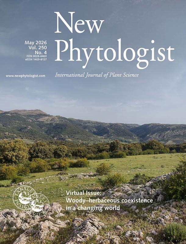 The cover of New Phytologist volume 250, issue 4. This image from Spain illustrates a mixed landscape of trees, shrubs, grasses, and forbs typical of Mediterranean montane systems, where multiple plant life forms interact.