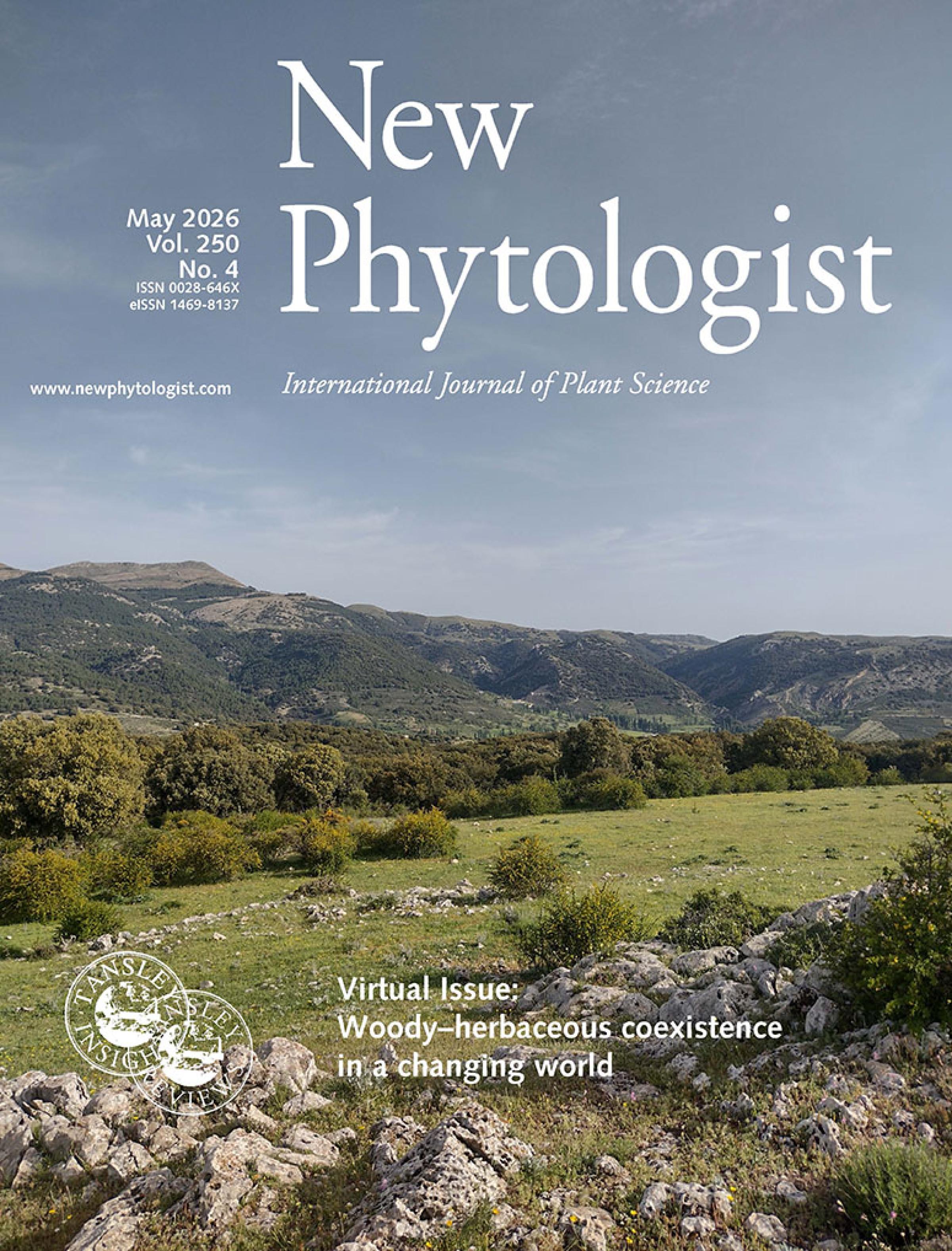 The cover of New Phytologist volume 250, issue 4. This image from Spain illustrates a mixed landscape of trees, shrubs, grasses, and forbs typical of Mediterranean montane systems, where multiple plant life forms interact.