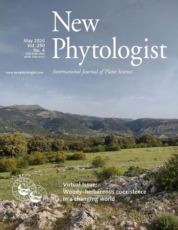 The cover of New Phytologist volume 250, issue 4. This image from Spain illustrates a mixed landscape of trees, shrubs, grasses, and forbs typical of Mediterranean montane systems, where multiple plant life forms interact.