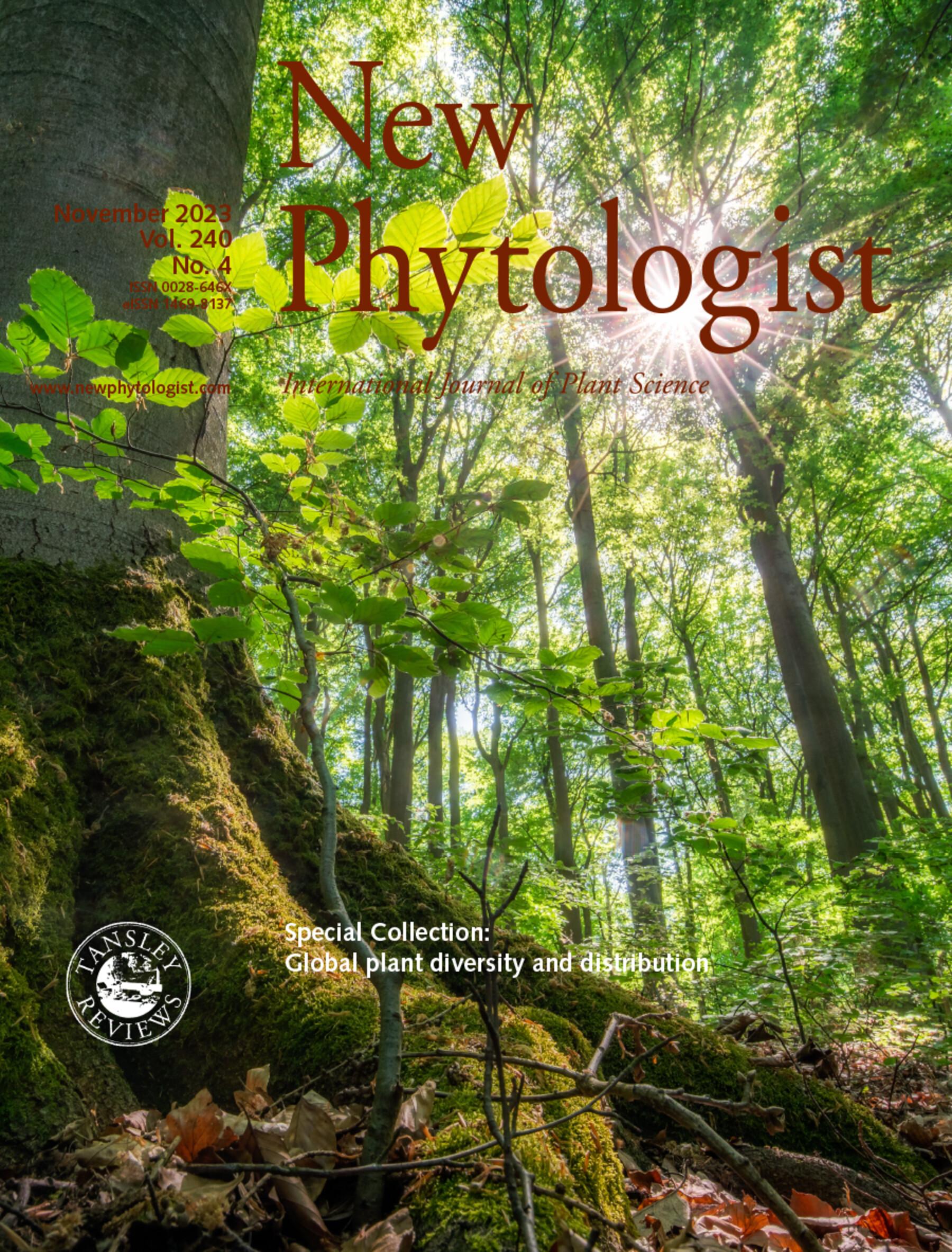 Journal cover, title reads "New Phytologist", text reads "December 2023, Vol.240, No.4". The background shows sunlight shining through leaves in a dense, green forest.