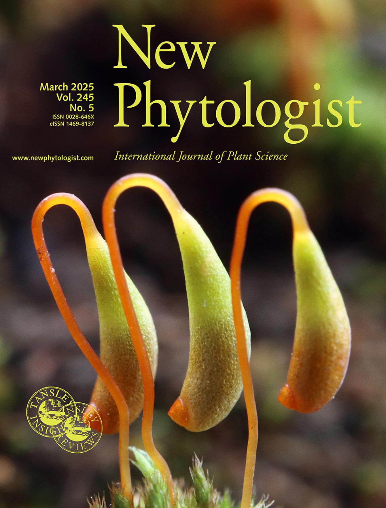 Cover of New Phytologist 245:5 (March 2025). Ptychostomum demissum, an acrocarpous moss with strongly asymmetrical capsules in arctic or alpine areas.